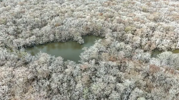 a view of a lake with houses with green space