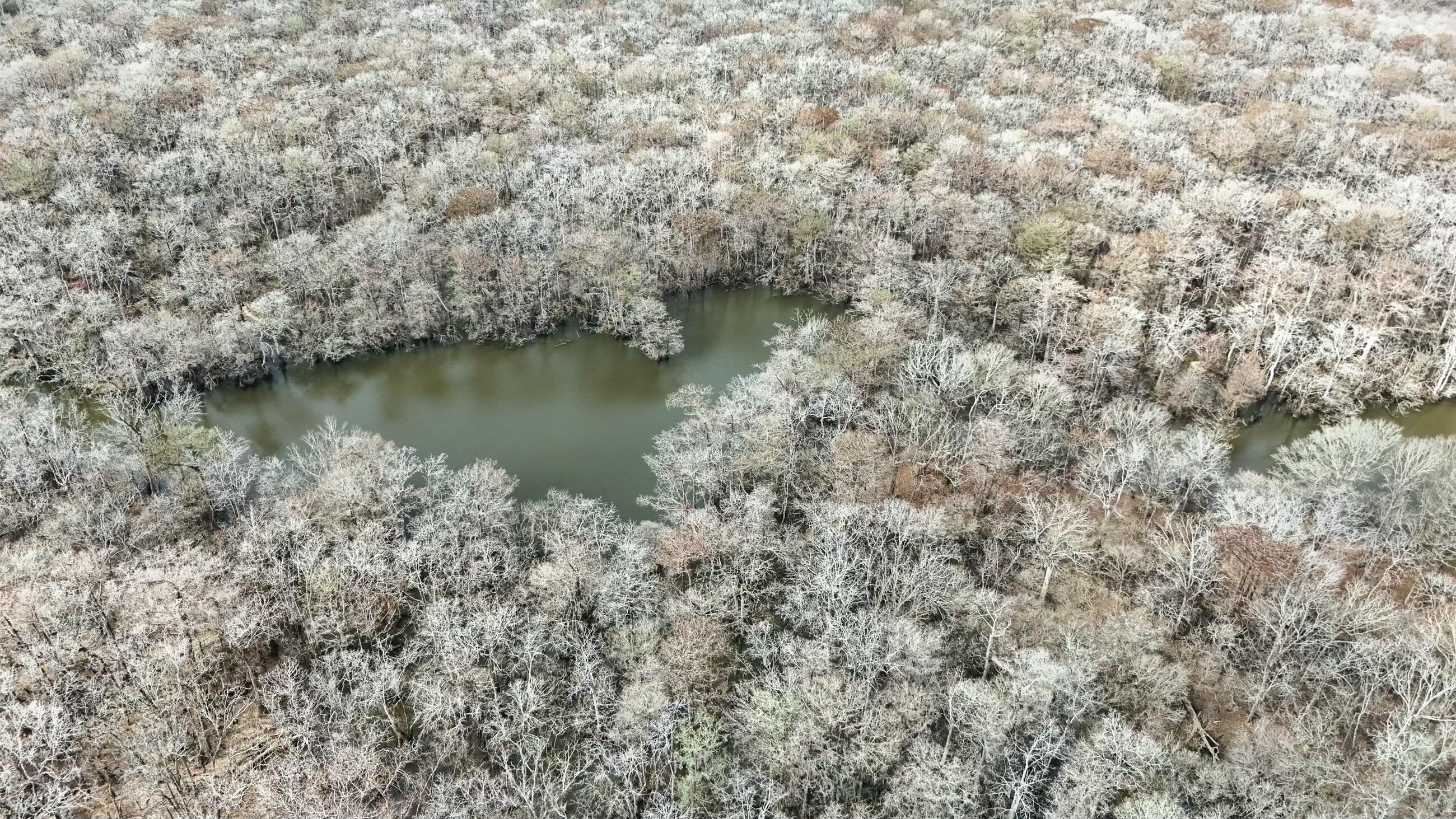 Tbd Strickland Road Ebro, FL 32437 - Photo 25 of 36 a view of a lake with houses with green space