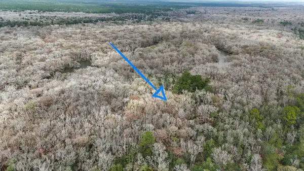 a view of a dry yard with a small yard