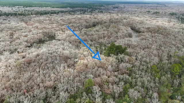 a view of a dry yard with a small yard