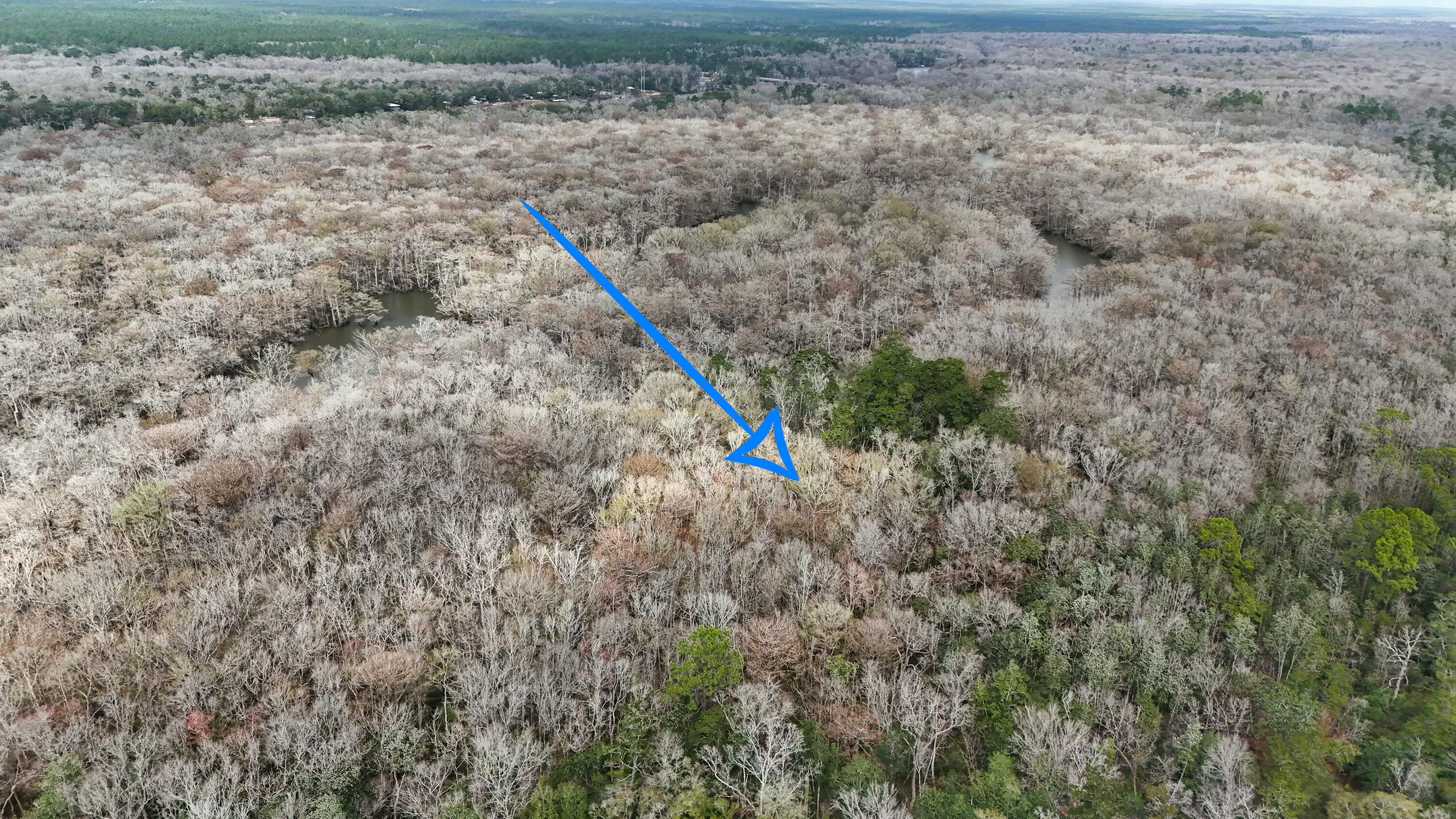 Tbd Strickland Road Ebro, FL 32437 - Photo 27 of 36 a view of a dry yard with a small yard