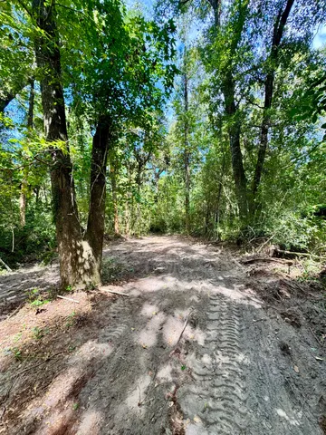 a view of a yard with large trees