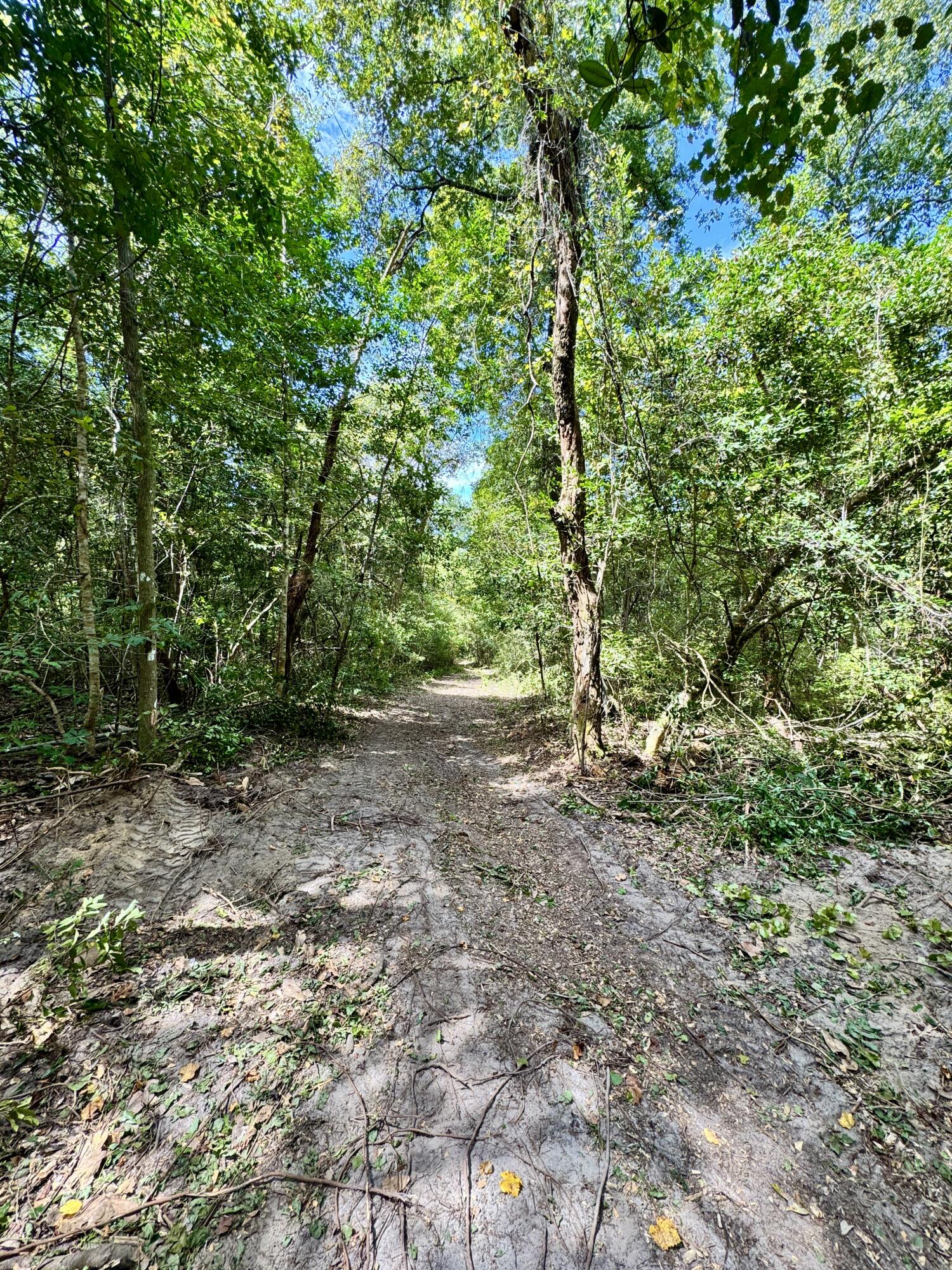 Tbd Strickland Road Ebro, FL 32437 - Photo 30 of 36 a view of outdoor space and yard
