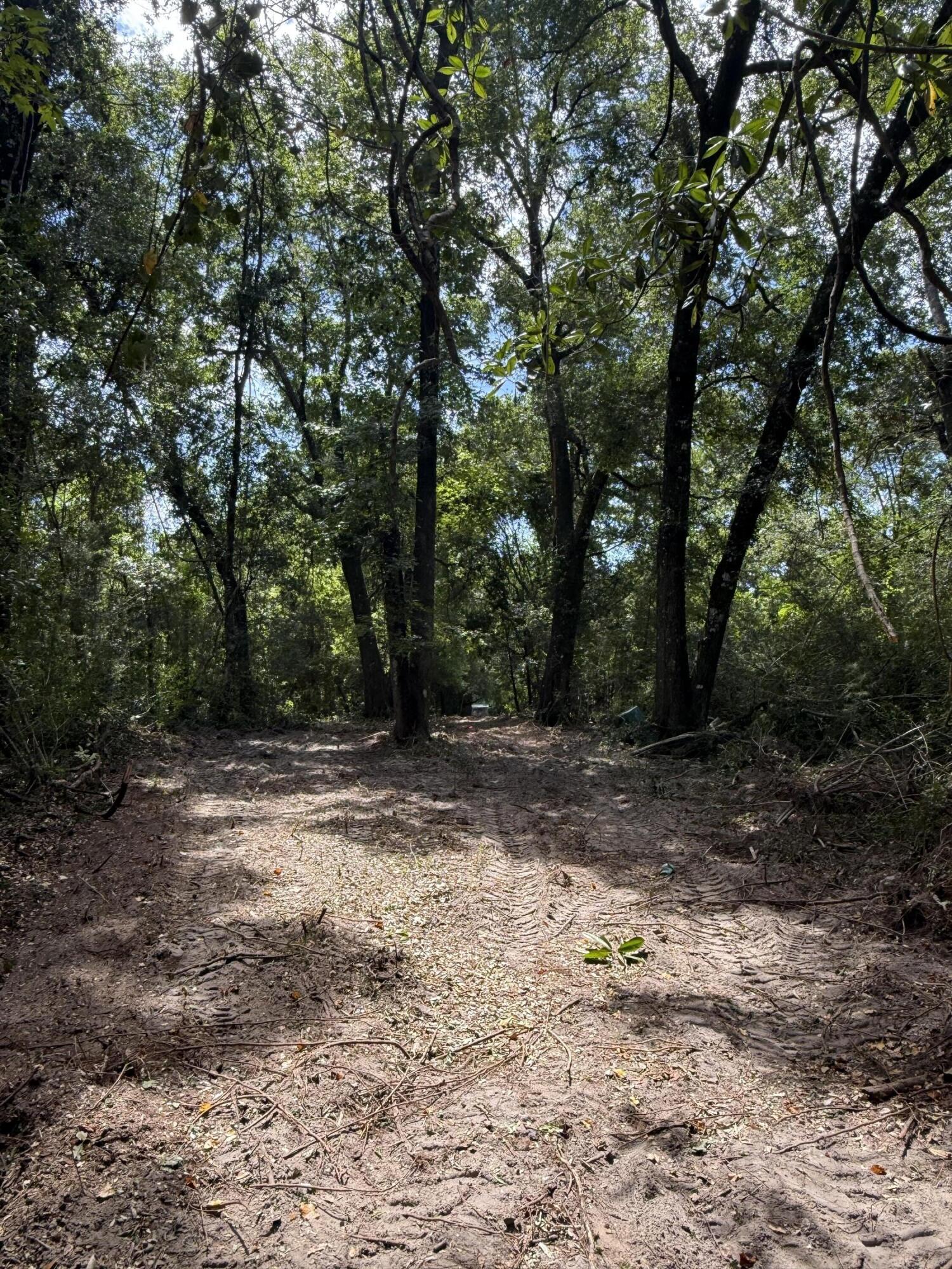 Tbd Strickland Road Ebro, FL 32437 - Photo 34 of 36 a view of a yard with a trees
