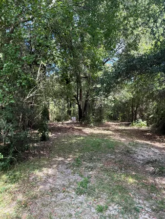 a view of backyard with green space