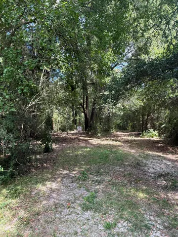 a view of backyard with green space