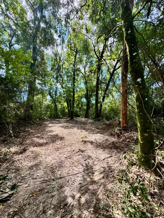 a view of outdoor space and trees