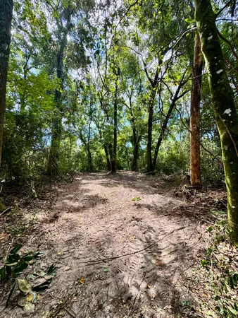 a view of outdoor space and trees