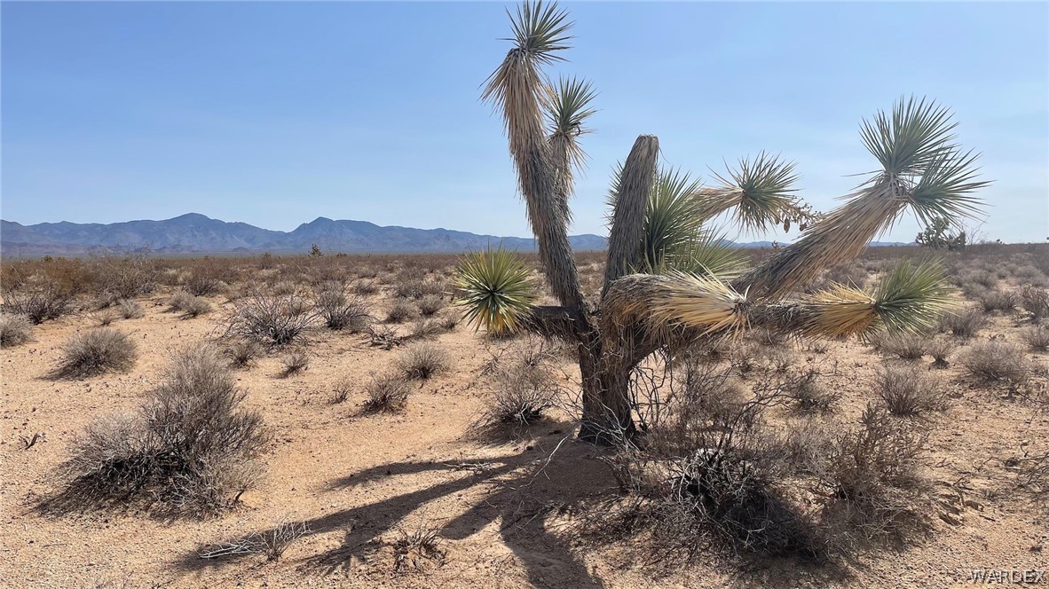 519 Roy Rogers Road Yucca, AZ 86438 - Photo 2 of 33 Gallery Image 2