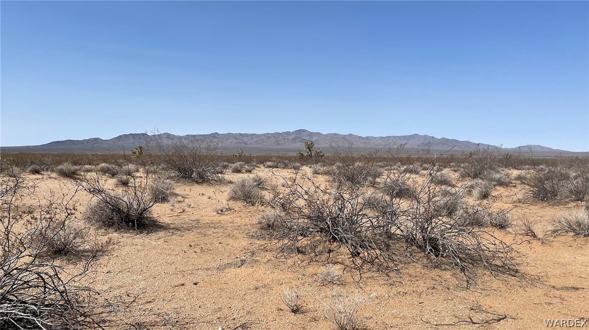 519 Roy Rogers Road Yucca, AZ 86438 - Photo 7 of 33 Gallery Image 7