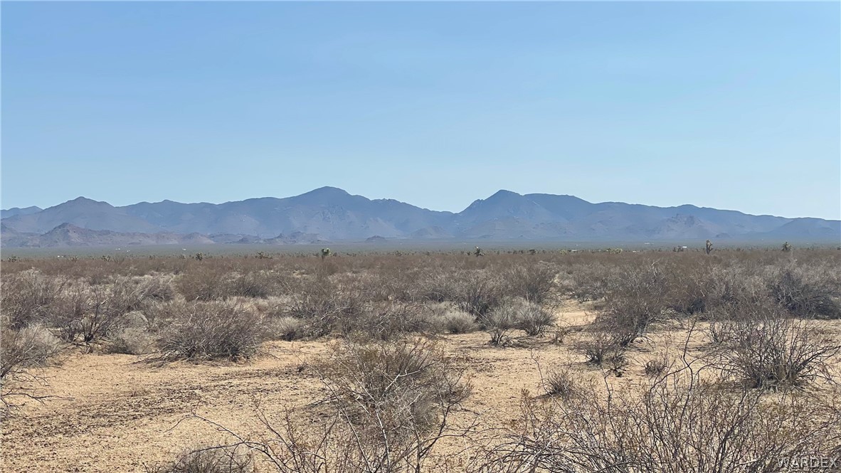 519 Roy Rogers Road Yucca, AZ 86438 - Photo 8 of 33 Gallery Image 8