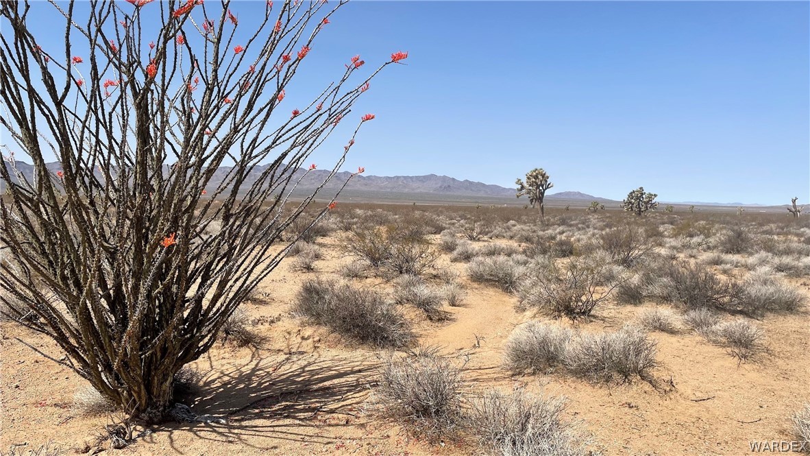 519 Roy Rogers Road Yucca, AZ 86438 - Photo 10 of 33 Gallery Image 10