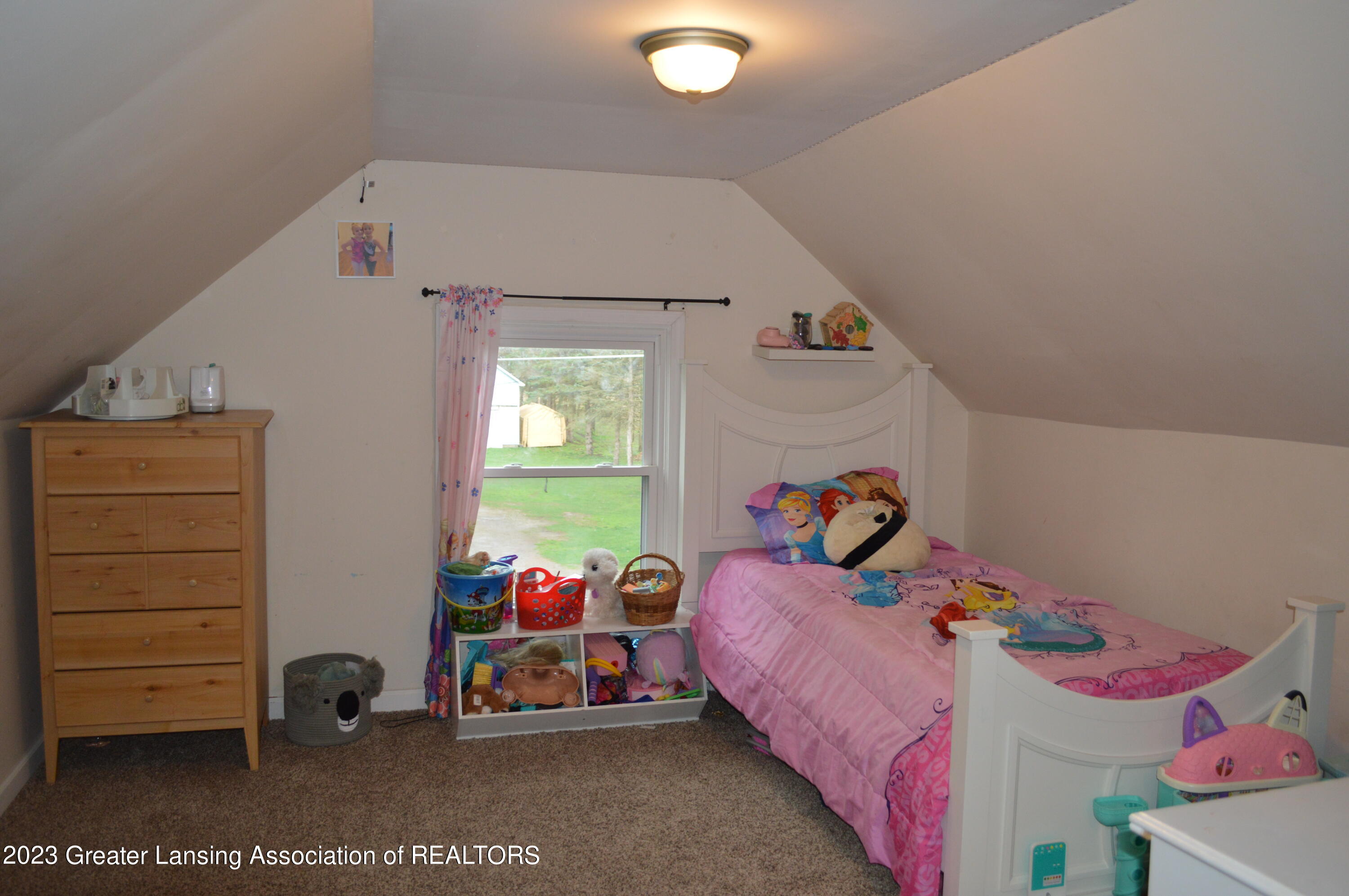 284 Green Street Springport, MI 49284 - Photo 27 of 45 DSC_0287
