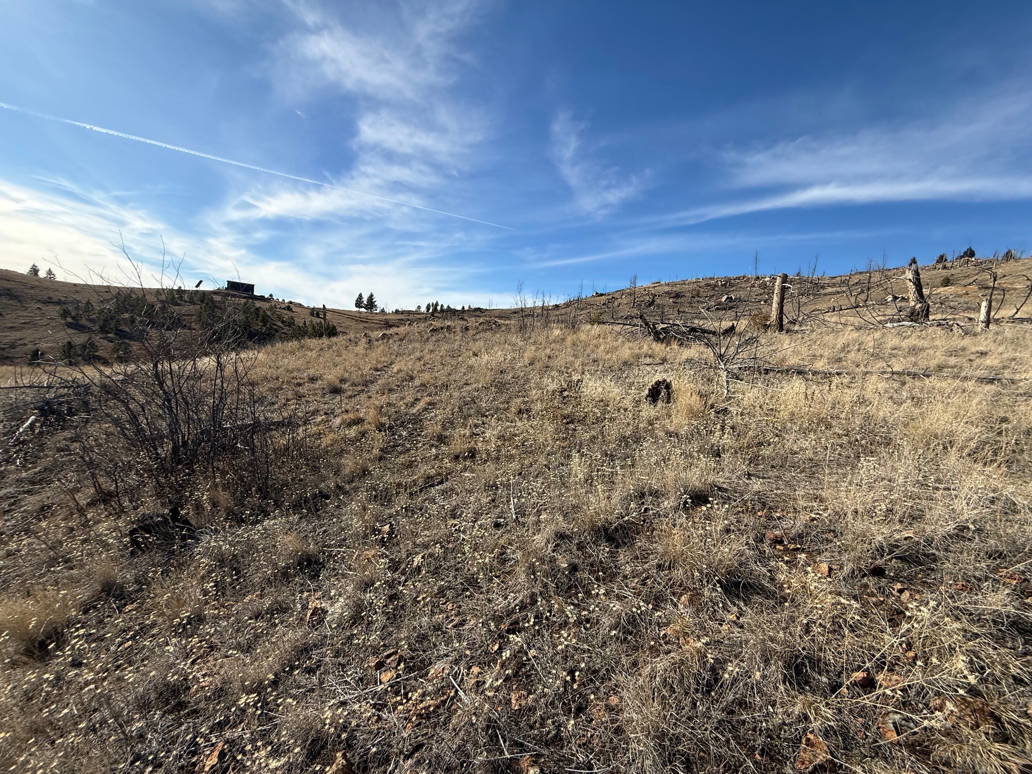 83 Nursery Creek Road Boulder, MT 59632 - Photo 37 of 62 Gallery Image 37