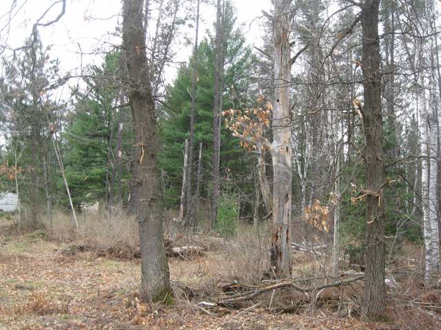 On Bay Mill Road Tomahawk, WI 54487 - Photo 5 of 5 Gallery Image 5