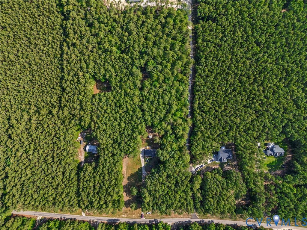 14175 Lebanon Road Disputanta, VA 23842 - Photo 55 of 60 Expansive treed land parcel offering abundant natu