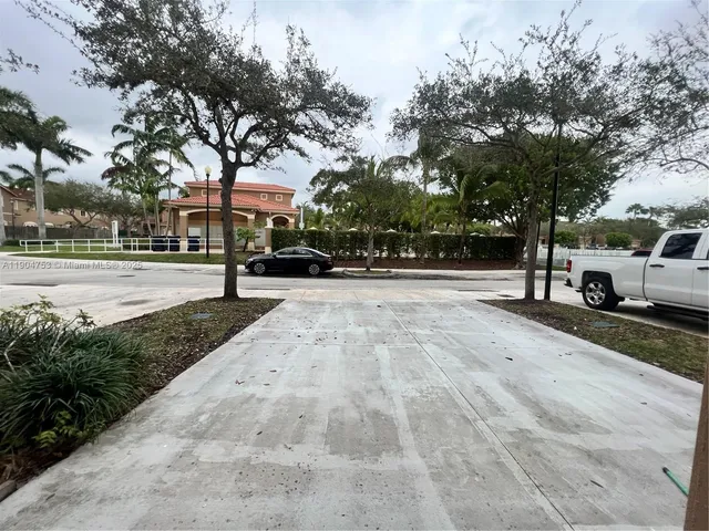 a street view with large trees