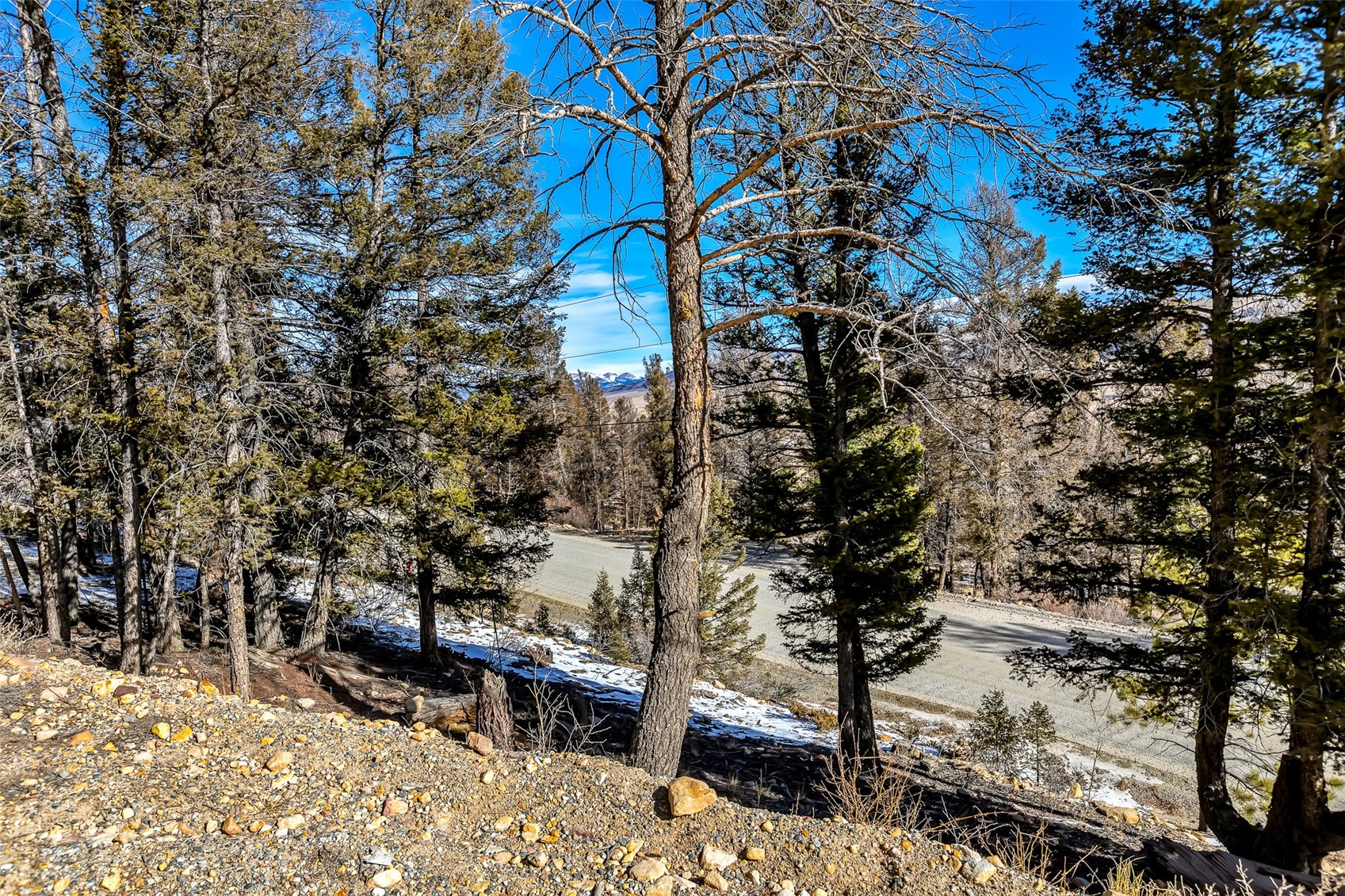 1423 Redhill Road Fairplay, CO 80440 - Photo 11 of 44 a backyard of a house with lots of green space
