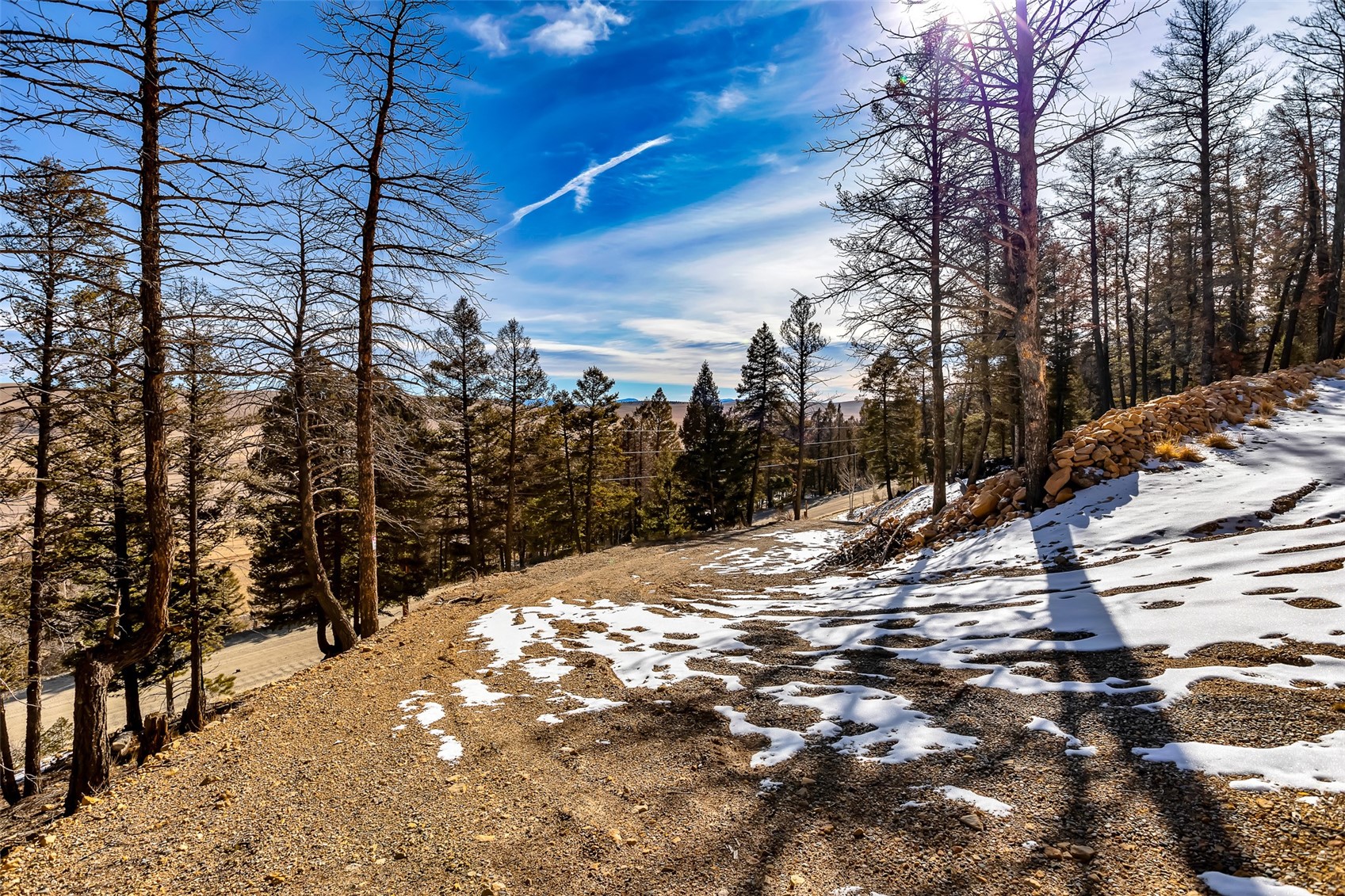 1423 Redhill Road Fairplay, CO 80440 - Photo 12 of 44 a view of a yard with wooden fence
