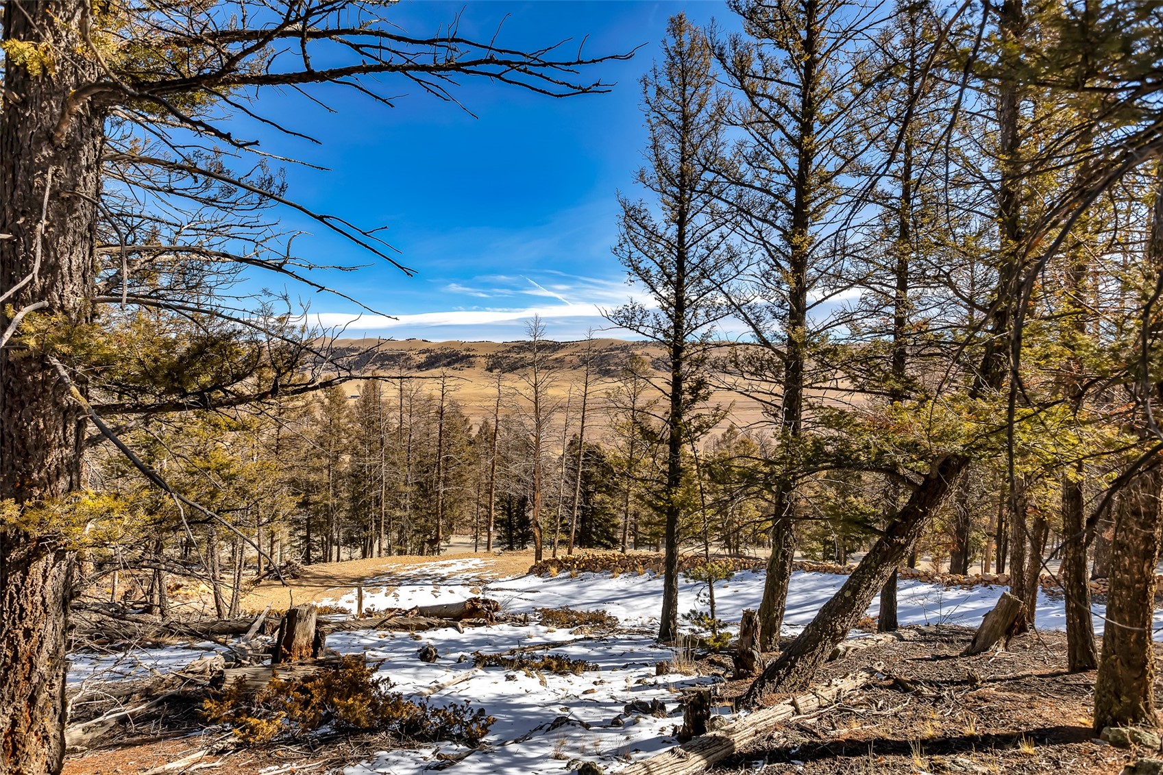 1423 Redhill Road Fairplay, CO 80440 - Photo 15 of 44 a backyard of a house with large trees