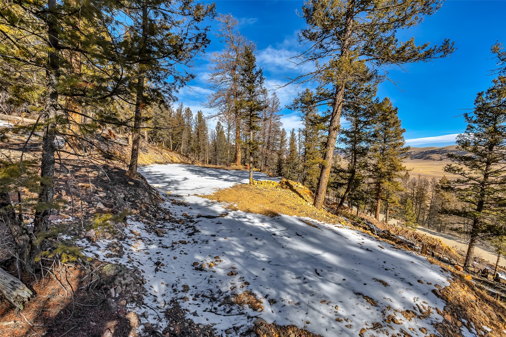 1423 Redhill Road Fairplay, CO 80440 - Photo 18 of 44 a view of a yard with trees