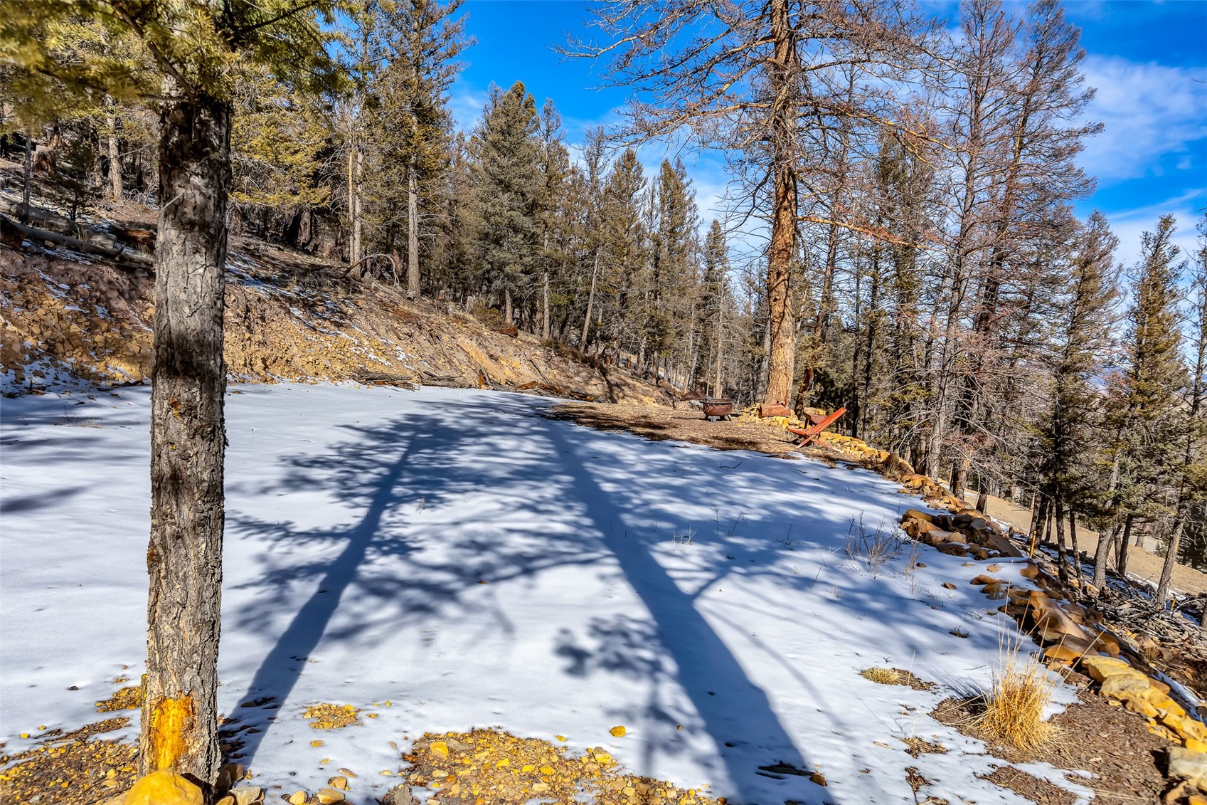 1423 Redhill Road Fairplay, CO 80440 - Photo 19 of 44 a view of a backyard of the house