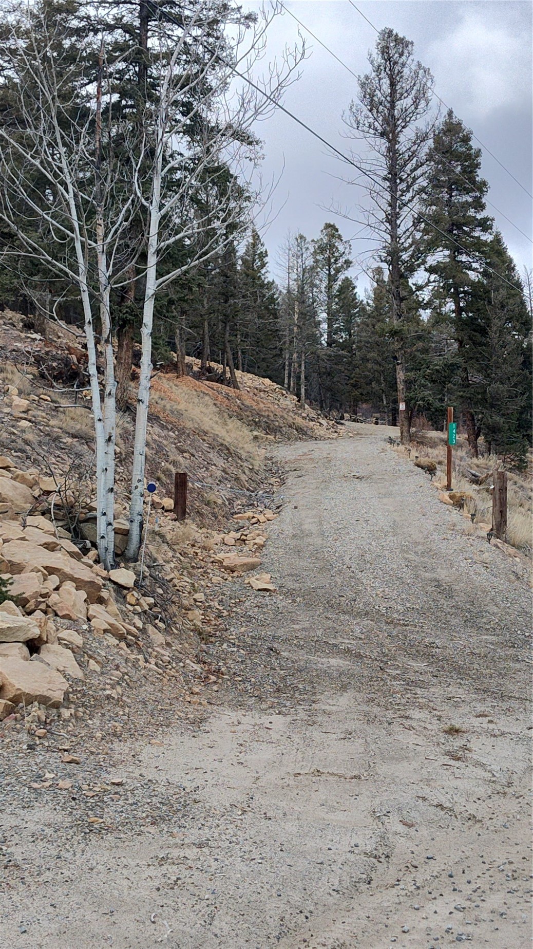 1423 Redhill Road Fairplay, CO 80440 - Photo 27 of 44 a view of a forest with trees