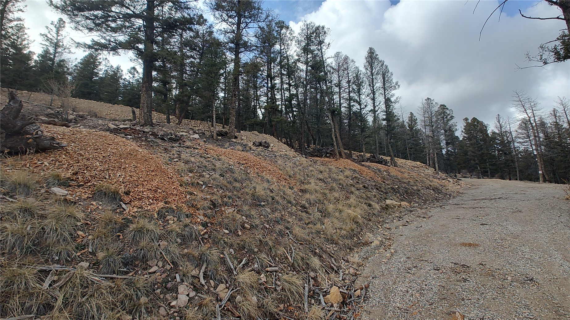 1423 Redhill Road Fairplay, CO 80440 - Photo 29 of 44