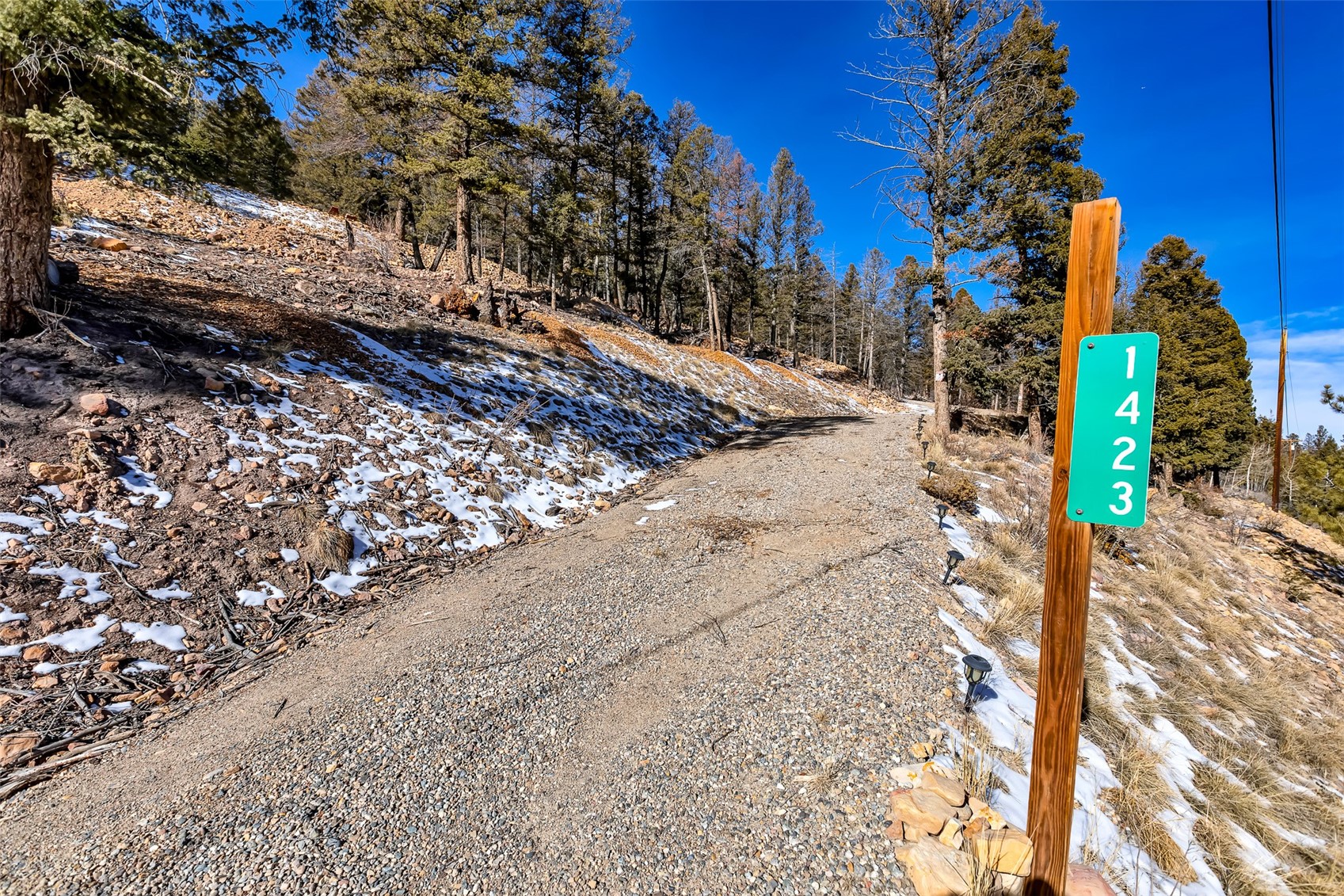 1423 Redhill Road Fairplay, CO 80440 - Photo 3 of 44 a view of a road with covered trees