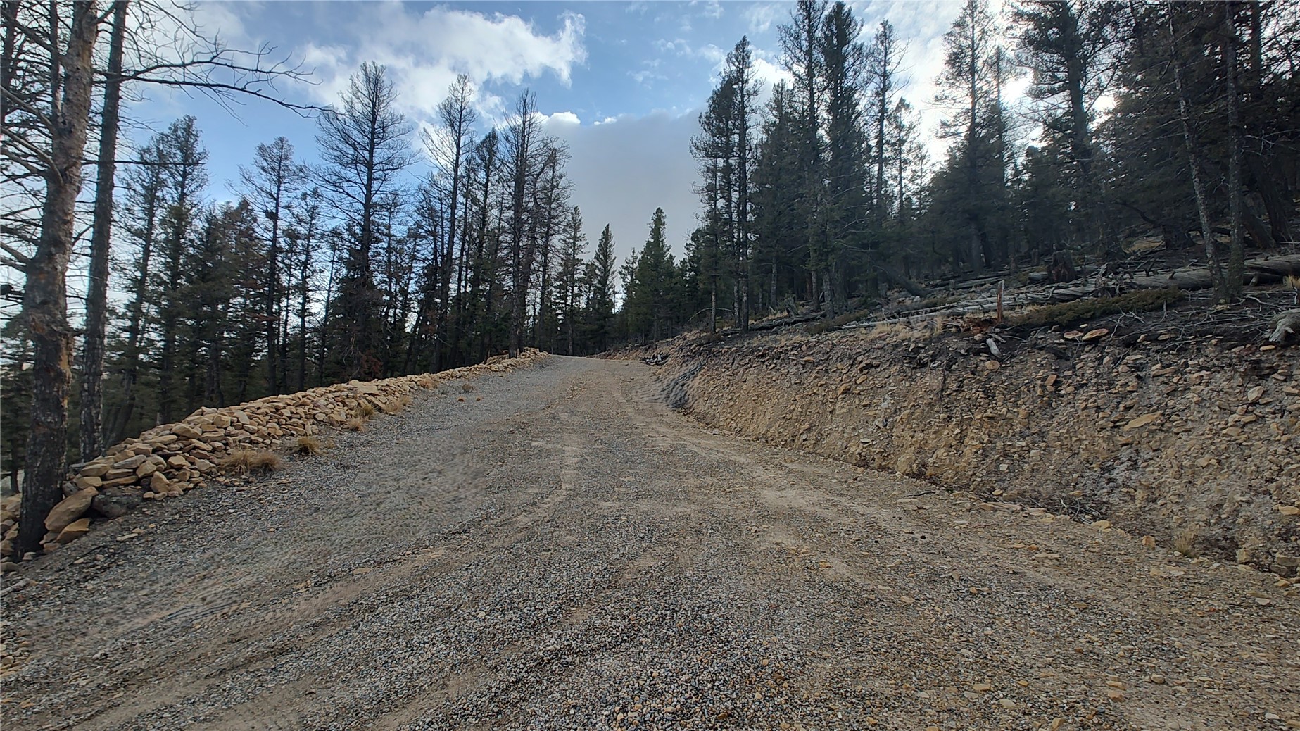 1423 Redhill Road Fairplay, CO 80440 - Photo 31 of 44 a view of a covered with trees in the background