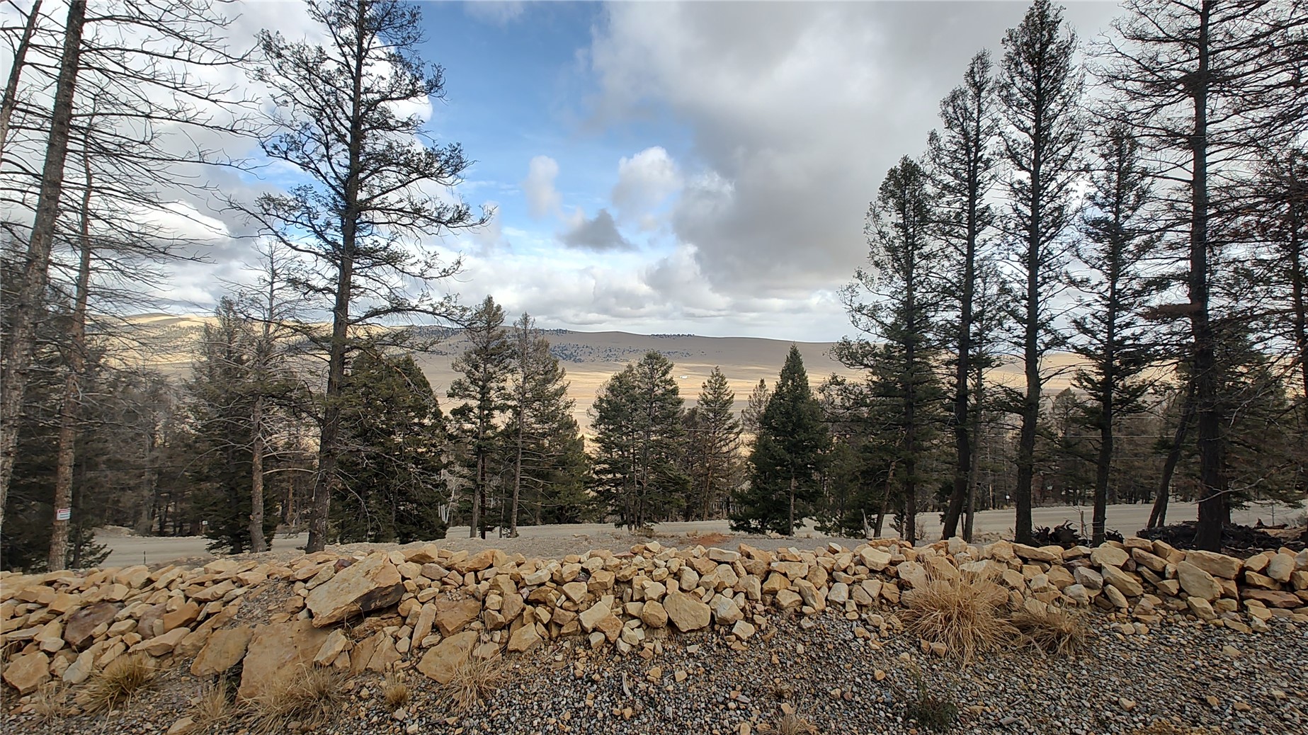 1423 Redhill Road Fairplay, CO 80440 - Photo 32 of 44 a view of a snow on the snow