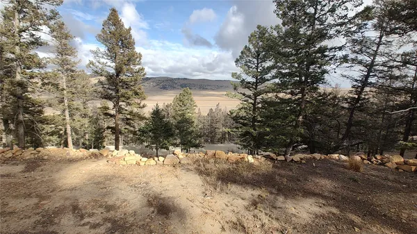 $95,000 | 1423 Redhill Road, Fairplay, CO 80440