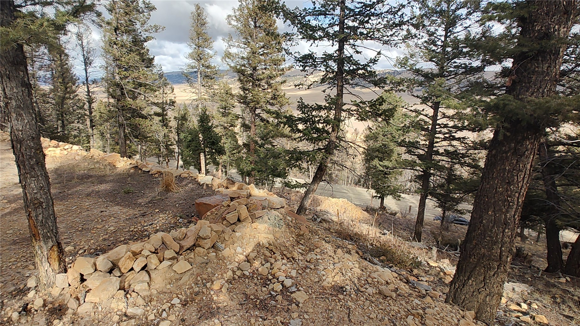 1423 Redhill Road Fairplay, CO 80440 - Photo 36 of 44 a view of a yard with a tree