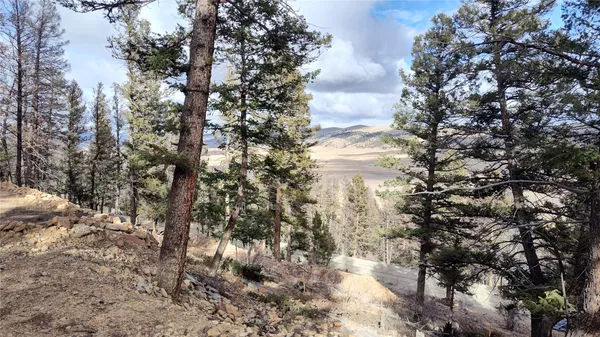 $95,000 | 1423 Redhill Road, Fairplay, CO 80440