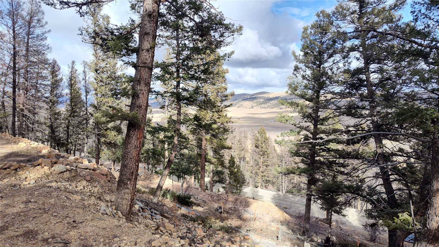 1423 Redhill Road Fairplay, CO 80440 - Photo 37 of 44