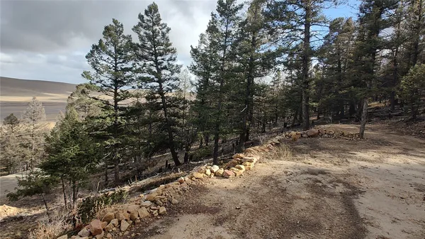 $95,000 | 1423 Redhill Road, Fairplay, CO 80440