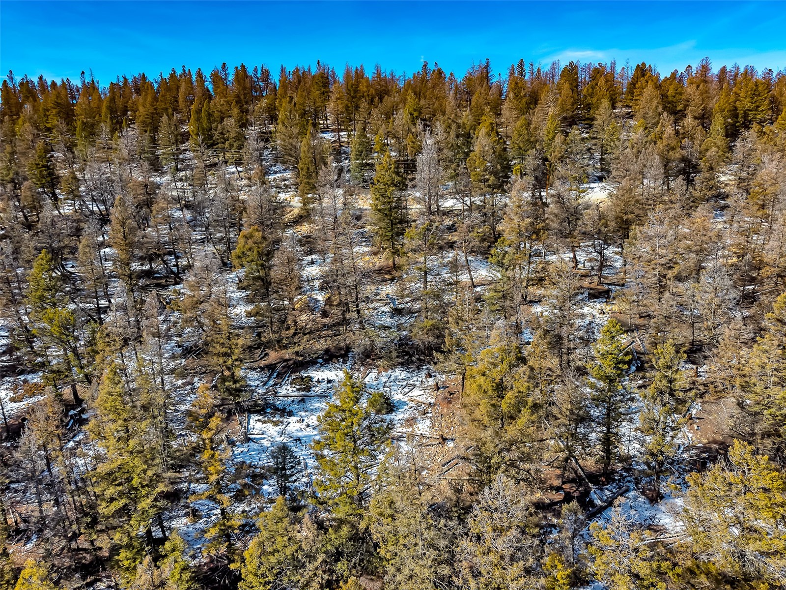 1423 Redhill Road Fairplay, CO 80440 - Photo 4 of 44