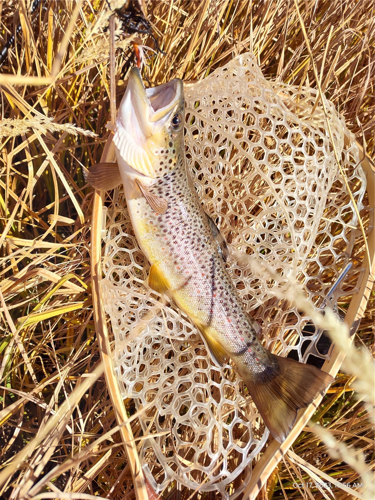 1423 Redhill Road Fairplay, CO 80440 - Photo 43 of 44