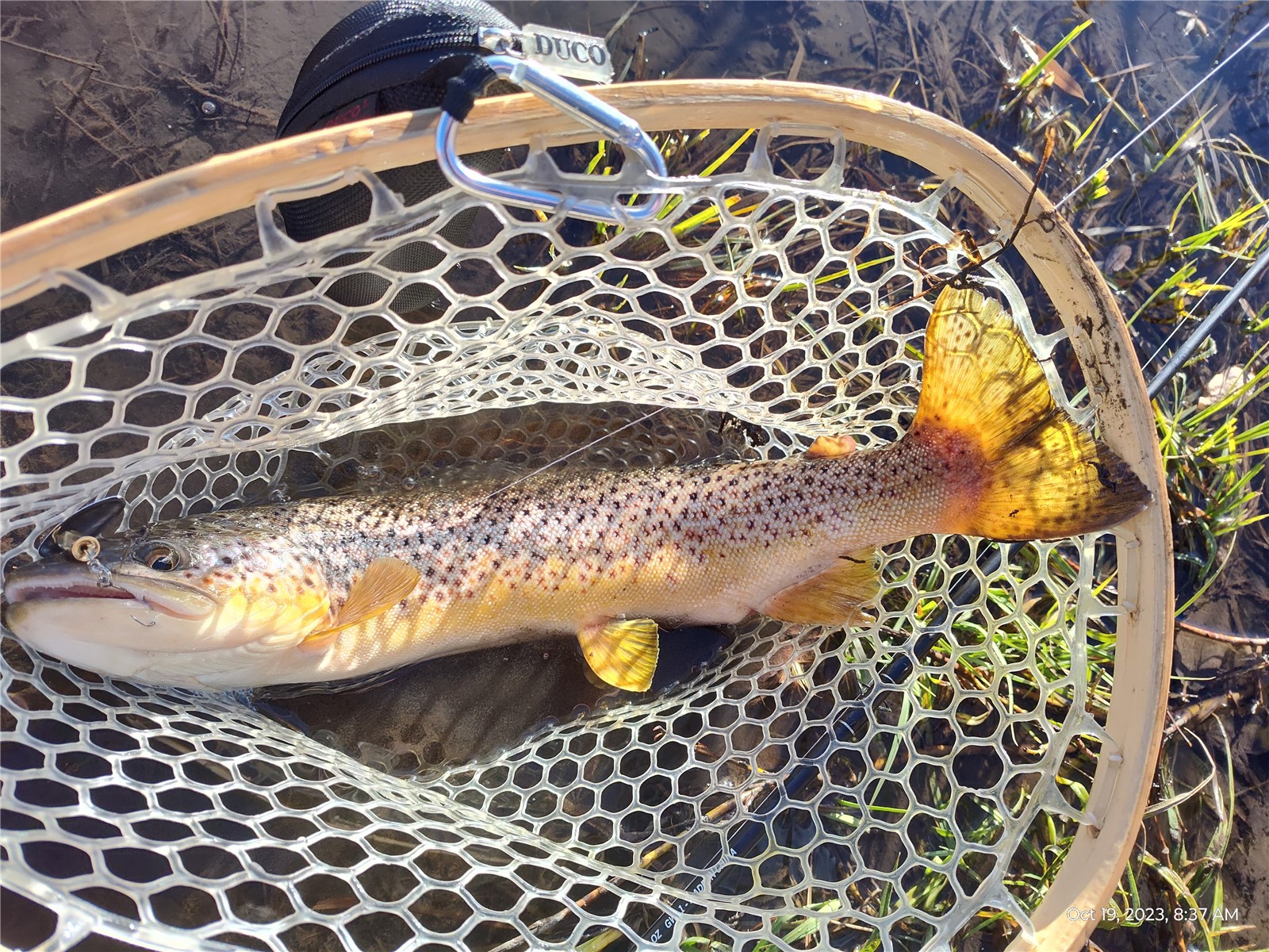 1423 Redhill Road Fairplay, CO 80440 - Photo 44 of 44 a view of an outdoor space with a swimming pool