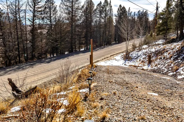 a view of a forest with lots of trees