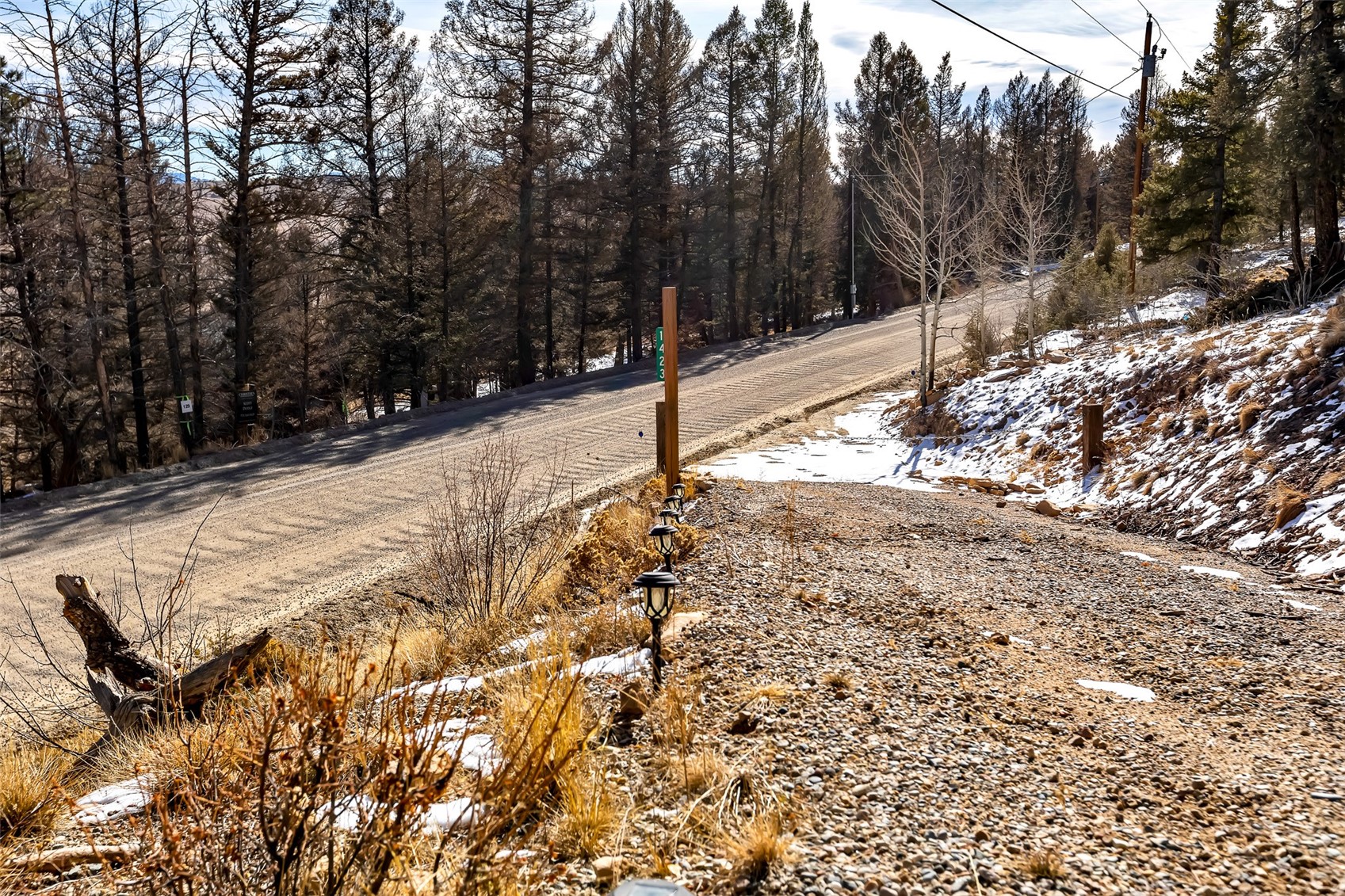 1423 Redhill Road Fairplay, CO 80440 - Photo 8 of 44