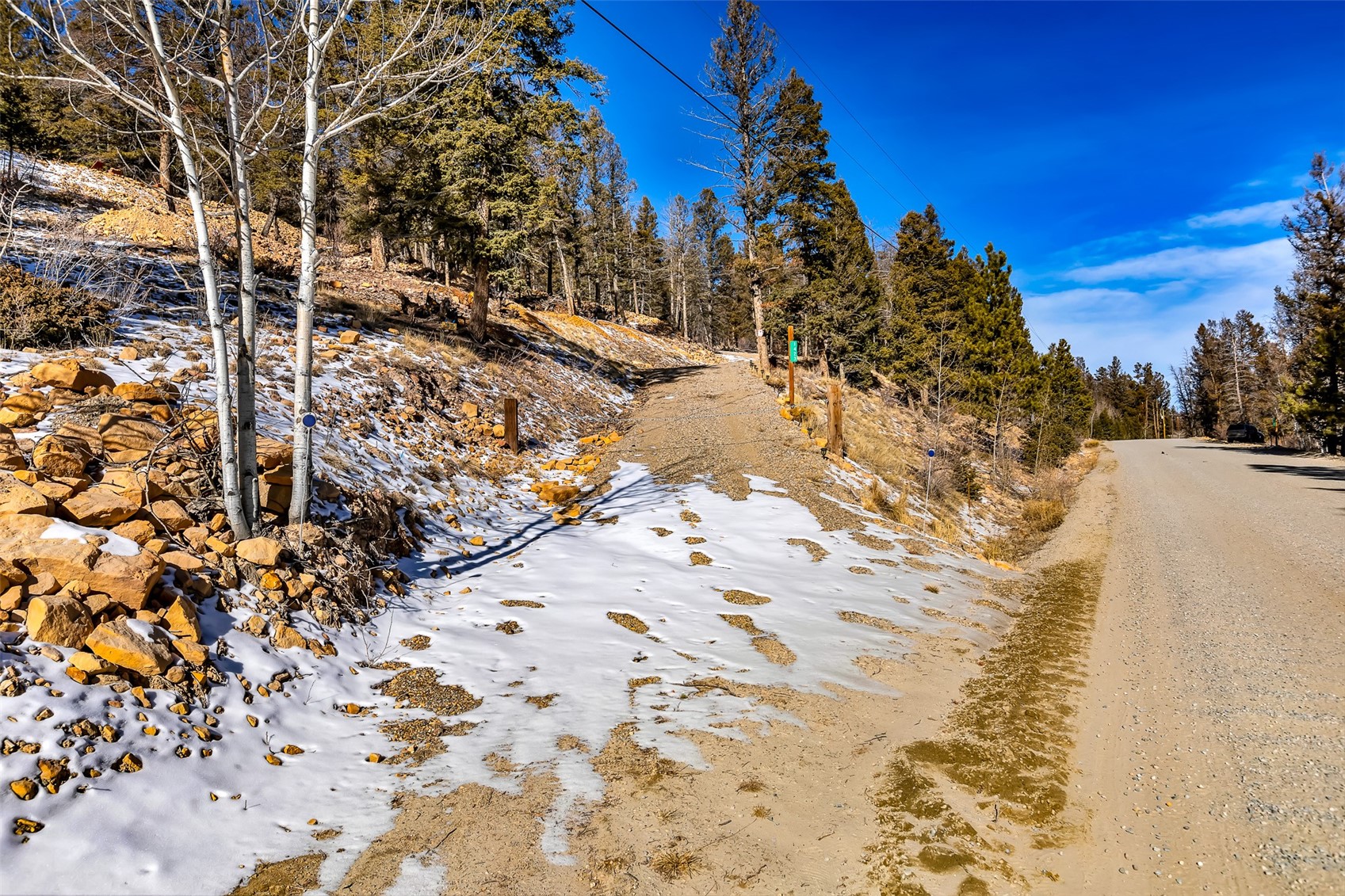 1423 Redhill Road Fairplay, CO 80440 - Photo 9 of 44 a view of a yard with snow on the road