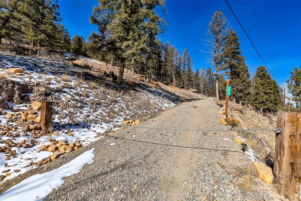 a backyard of a house with large trees