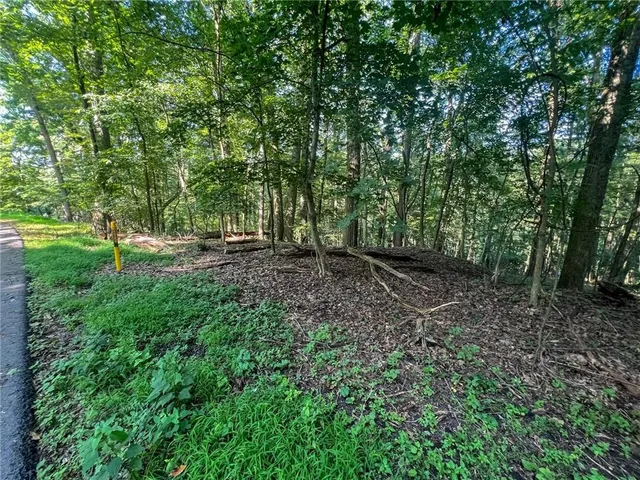 a view of outdoor space with trees all around