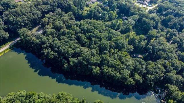 a view of a garden with a lake