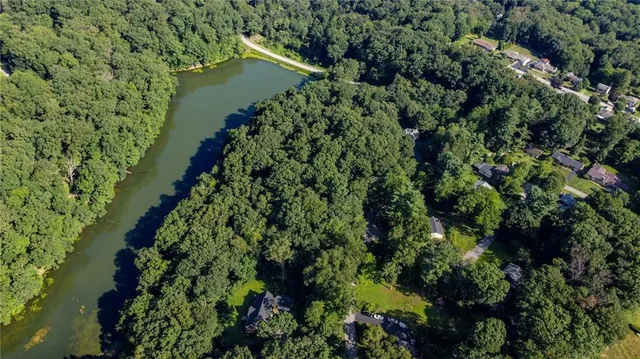 a view of a garden with a lake