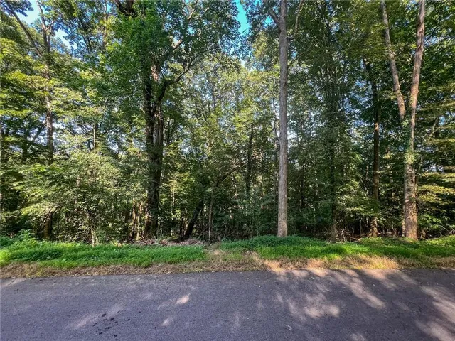 a view of a yard with a tree