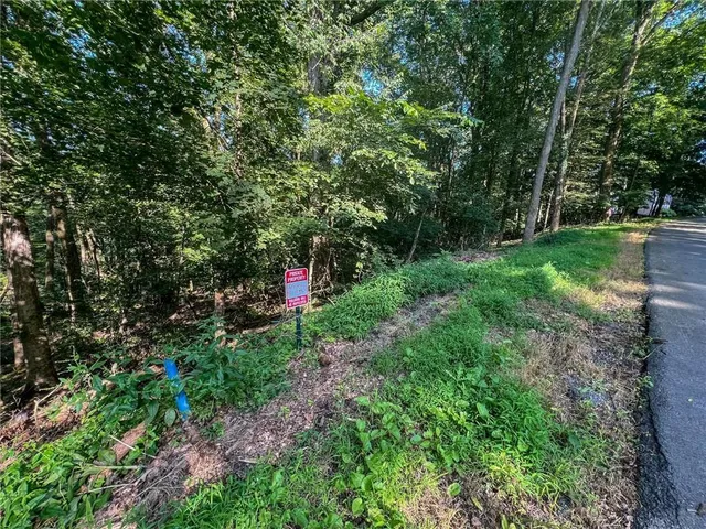 a backyard of a house with lots of green space and plants