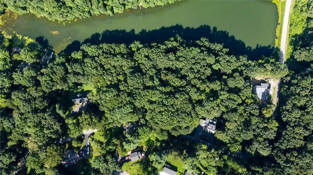 a view of a garden with a lake