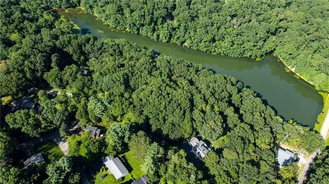a view of a garden with a lake